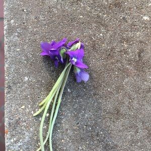 Meet your Posher, Kimberly